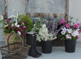 Udsalg - nyt&aring;r 2025-26