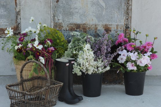 Udsalg - nyt&aring;r 2025-26