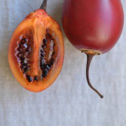 Trtomat, <br>Tamarillo <br><i>Cyphomandra crassicaulis <br>(syn. C. betacea)</i>