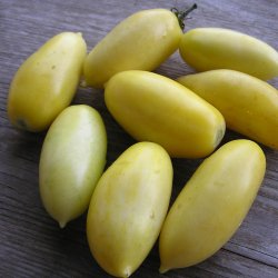 Tomat <br>'Cream Sausage'<br><i>Lycopersicon esculentum</i>