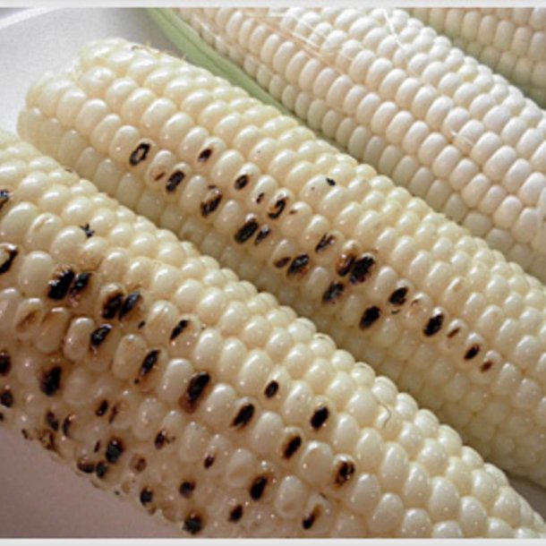 Majs, Sukker- <br>'White Lady' F1 <br><i>Zea mays convar. saccharata</i>