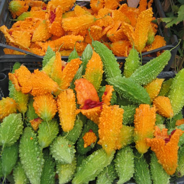 Balsamble, <br>bitteragurk, karela <br><i>Momordica charantia </i>
