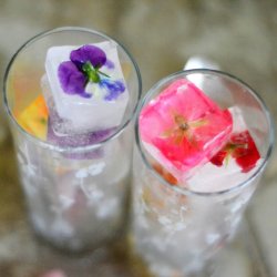 Spiselig <br>blomsterblanding<br><br>