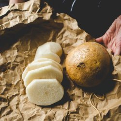 Jicama, <br>Mexikansk yamsbnne <br><i> Pachyrhizus erosus</i>