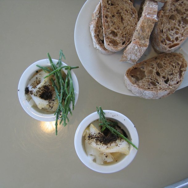 Kveller, <br>salturt<br><i>Salicornia europaea</i><br>