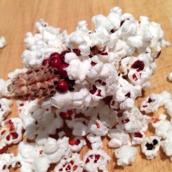 Majs, <br>Jordbr- <br><i>Zea mays var. gracillima</i>