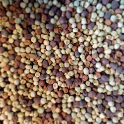 rt 'Mix' <br><i>Pisum sativum var. sativum/macrocarpon</i> 