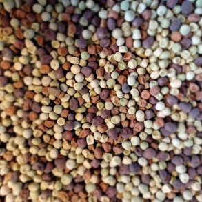 rt 'Mix' <br><i>Pisum sativum var. sativum/macrocarpon</i> 