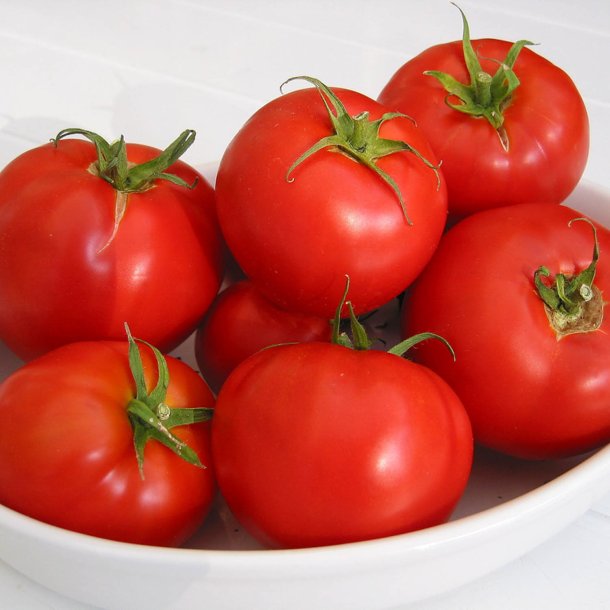 Tomat <br>'Saint Pierre<br><i>Lycopersicon esculentum</i>
