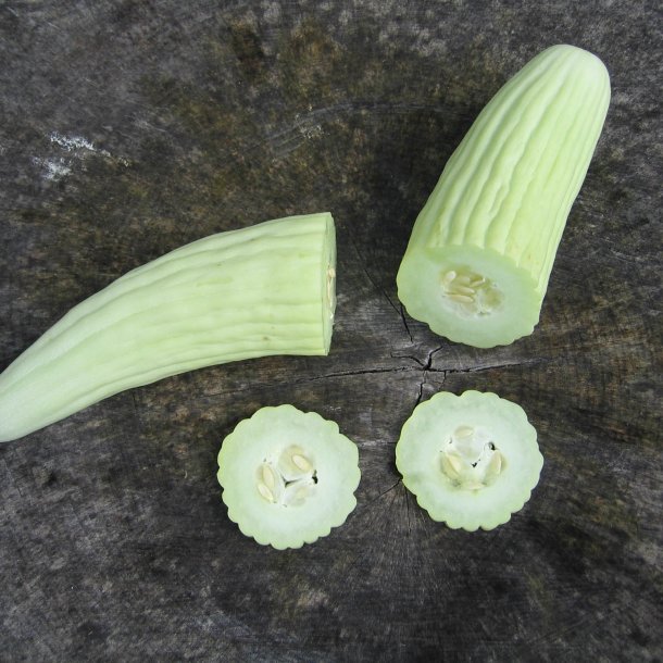 Agurk <br>'Armenian Yard Long' <br><i>Cucumis melo var. flexuosus</i>