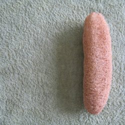 Luffa, loofah <br><i>Luffa aegyptiaca/ Luffa cylindrica</i>
