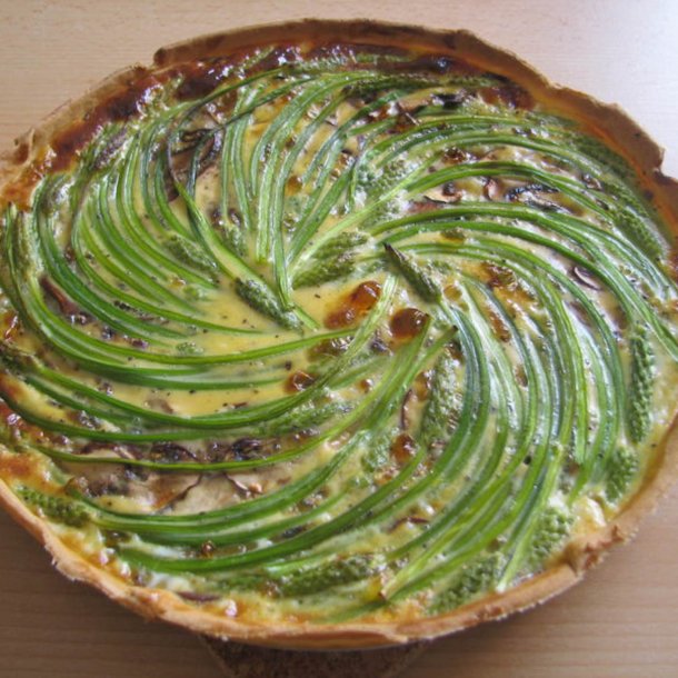 Asparges, Vild - <br>Pyrenisk fuglemlk<br><i>Ornithogalum pyrenaicum</i>