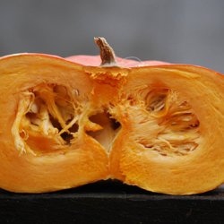 Grskar <br>'Rouge vif d'Etampes' <br><i>Cucurbita maxima</i>