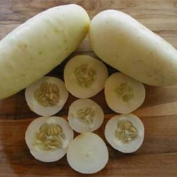 Agurk <br>'White Wonder' <br><i>Cucumis sativus</i>