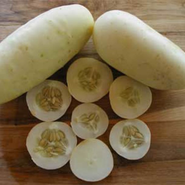 Agurk <br>'White Wonder' <br><i>Cucumis sativus</i>