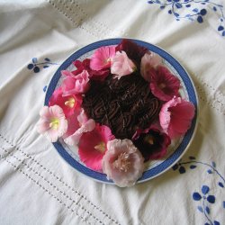 Stokrose <br>'Chater Rose'<br><i>Alcea rosea</i>