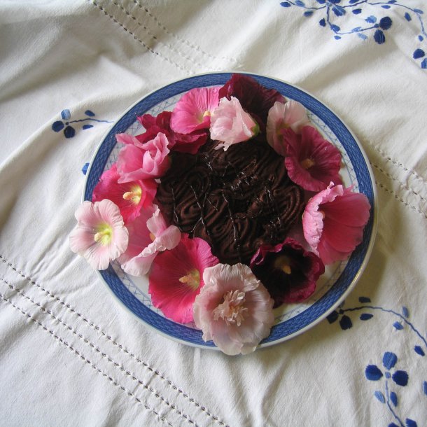 Stokrose <br>'Chater Rose'<br><i>Alcea rosea</i>