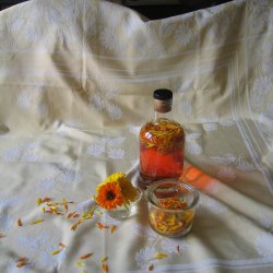 Morgenfrue <br>'Funky Stuff'<br><i>Calendula officinalis </i>