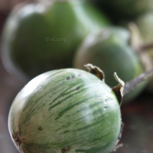 Aubergine <br>’Green Tiger Stripe’<br> <i>Solanum melongena</i>