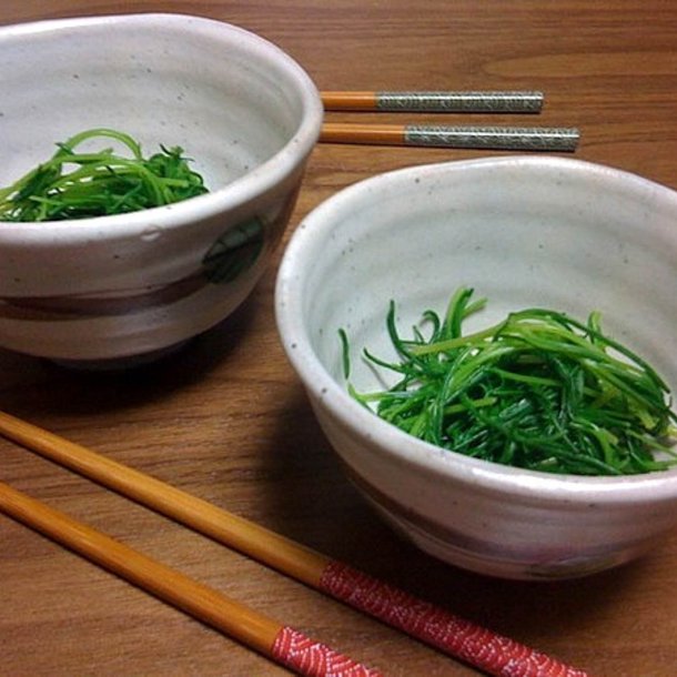 Okahijiki, <br>Komarov-sodaurt <br><i>Salsola komarovii iljin</i>