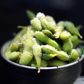 Edamame, sojabnne<br>'Fiskeby V'<br><i>Glycine max</i>