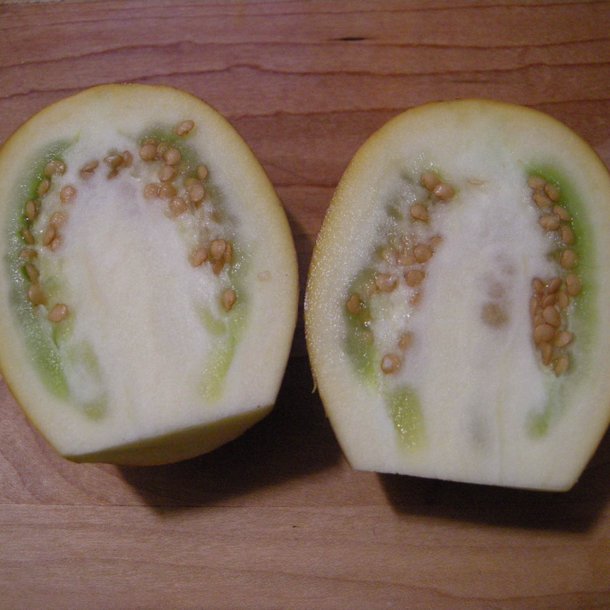 Aubergine <br>'Golden Eggs'<br><i>Solanum melongena</i>