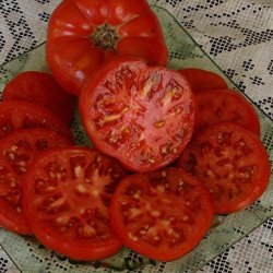 Tomat <br>'Pantano Romanesco' <br><i>Lycopersicon esculentum</i>