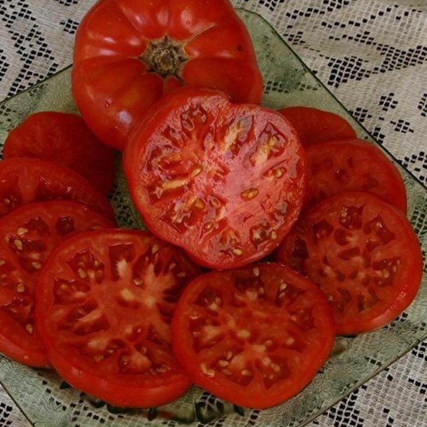 Tomat <br>'Pantano Romanesco' <br><i>Lycopersicon esculentum</i>