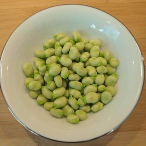 Valsk bnne, hestebnne<br>'Stereo'<br><i>Vicia faba </i>