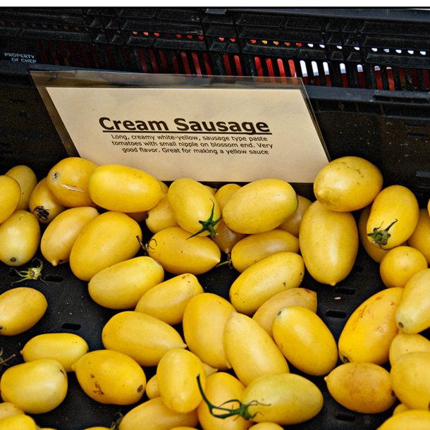 Tomat <br>'Cream Sausage'<br><i>Lycopersicon esculentum</i>