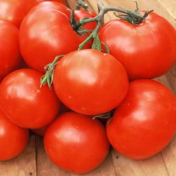 Tomat <br>'Druzba' <br><i>Lycopersicon esculentum</i>
