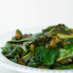 Bladkl, <br>Couve Galega <br><i>Brassica oleracea</i>