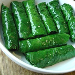 Bladkl, <br>Couve Galega <br><i>Brassica oleracea</i>