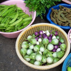 Goabnne, stjernebnne <br><i>Psophocarpus tetragonolobus</i>