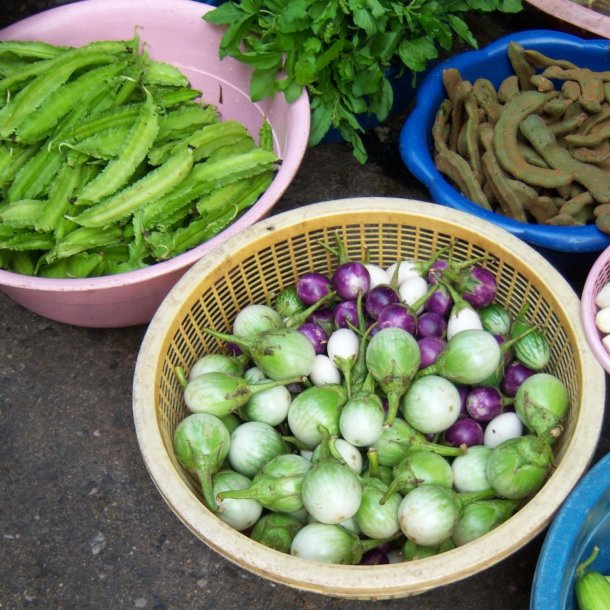 Goabnne, stjernebnne <br><i>Psophocarpus tetragonolobus</i>