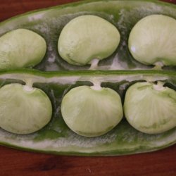 Limabnne, Butterbean<br>'King of Garden' <br><i>Phaseolus lunatus</i>