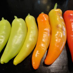 Chili <br>'Hungarian Hot Wax'<br><i>Capsicum annuum</i>