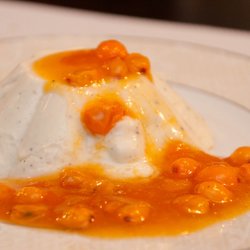 Havtorn <br><i>Hippopha rhamnoides</i><br><br>