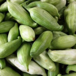 Caihua, <br>Achocha <br><i>Cyclanthera pedata</i>