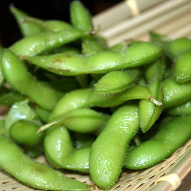 Edamame, sojabnne<br>'Fiskeby V'<br><i>Glycine max</i>