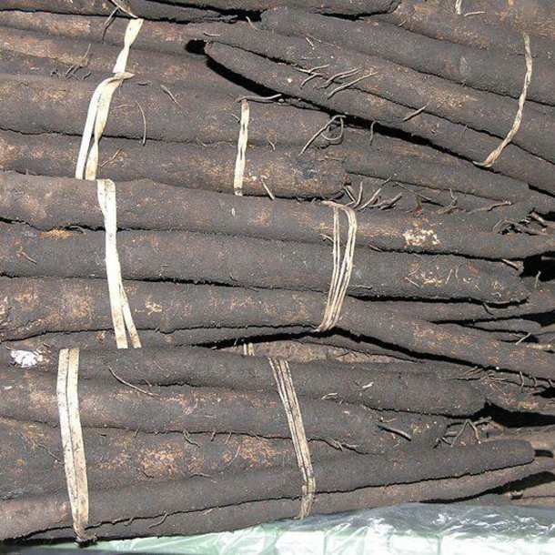 Skorzonerrod <br>'Long Black' <br><i>Scorzonera hispanica</i>