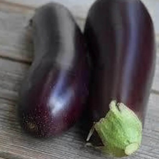Aubergine <br>'Long Violette'<br> <i>Solanum melongena</i>