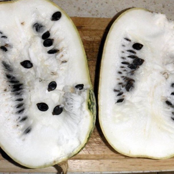 Grskar, <br>Figenbladet <br><i>Cucurbita ficifolia</i><br><br>