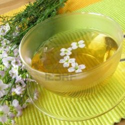 Engkarse<br><i>Cardamine pratensis</i><br><br>