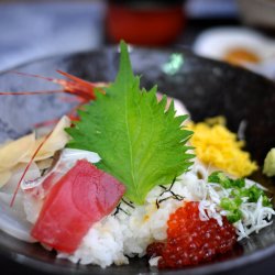 Perilla, Shiso <br>'Green' <br><i>Perilla frutescens</i>