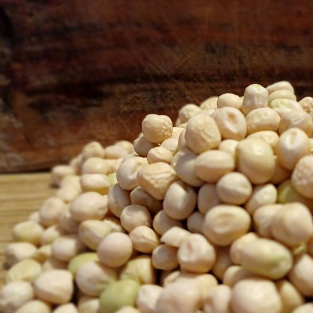 �rt, Mark- <br>'Ingrid' <br><i>Pisum sativum</i>