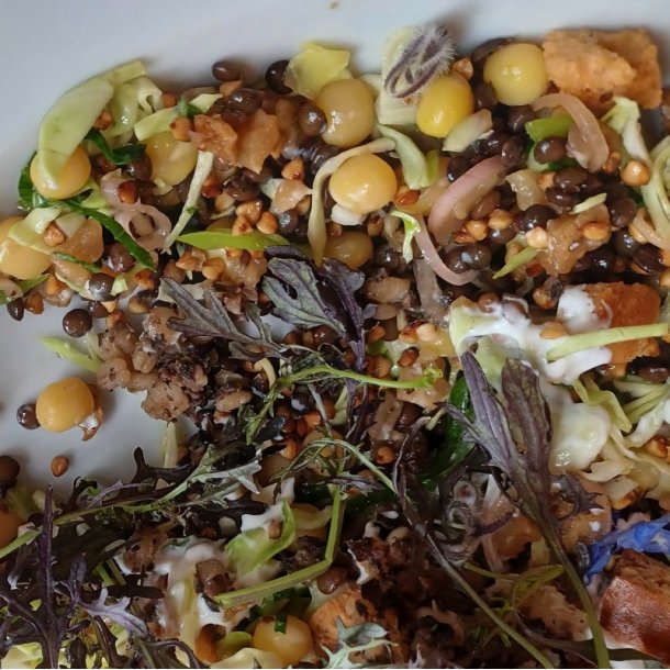 �rt, Mark- <br>'Ingrid' <br><i>Pisum sativum</i>