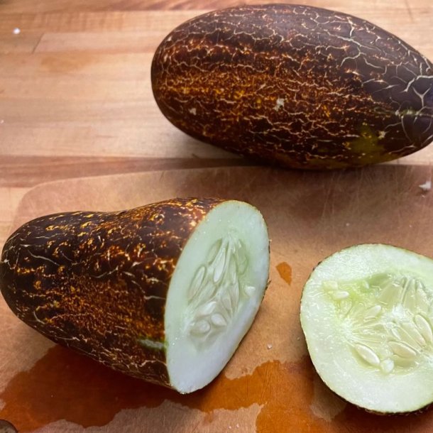 Agurk, Sikkim- <br><i>Cucumis sativus L. var sikkimensis </i>