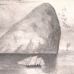 Tomat <br>'Ailsa Craig'<br><i>Lycopersicon esculentum</i>