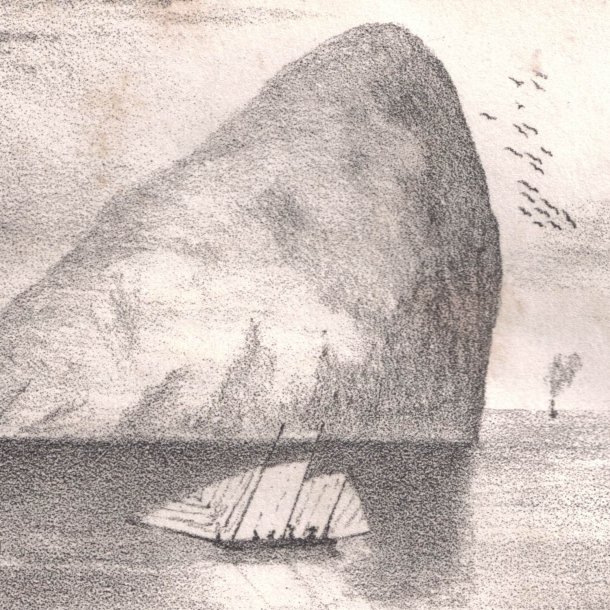 Tomat <br>'Ailsa Craig'<br><i>Lycopersicon esculentum</i>